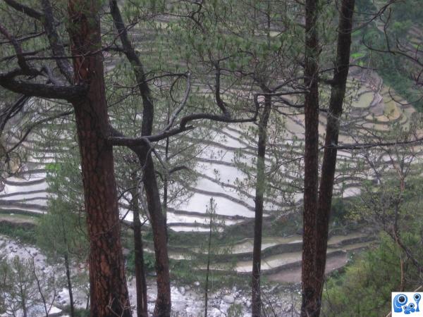 Irrigation. uttrakhand, India